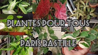 118 Plantes pour tous  Paris Bastille le 19 mai 2024 [upl. by Meredith]