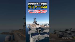 フランス空母の艦載機、ラファールは強襲揚陸艦で離着艦できるのか？試してみた msfs2020 飛行機 戦闘機 [upl. by Llenrap]