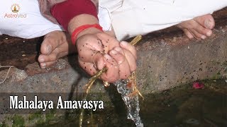 Mahalaya Amavasya 2020  Mahalaya Paksha [upl. by Scrivens]