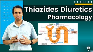 Diuretic Drugs Pharmacology Part 2  Pharmacology of Thiazides Diuretics  Thiazides Diuretics [upl. by Jezreel474]