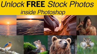 Unlock Free stock photos inside Photoshop with Pexels plugin [upl. by Cirred]