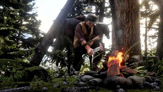 Camping Trip in Tall Trees  Red Dead Redemption 2 Relaxing Gameplay [upl. by Ellennad]