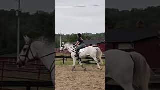 Evolution of the scary jump😱 jumping seamus [upl. by Otnicaj]