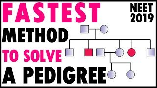 SOLVE Any PEDIGREE In Just 2 STEPSNEETNTA Short Trick For GENETICS Class 12NEET 2020 [upl. by Sirehc772]