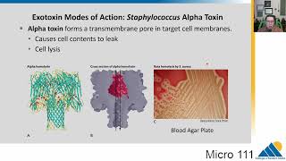 MICRO 111 Ch184 Host Damage and Manipulation  Introductory Microbiology [upl. by Eimac]