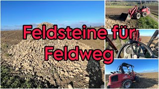 Feldsteine für Feldweg [upl. by Adelaja]