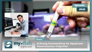 myfishorg  Achtung Sommerhitze 🌞 im Aquarium  Wassertemperatur 🌡️ richtig kühlen ❄️ [upl. by Kalie]