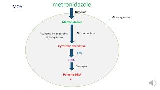 Metronidazole as Antiamoebic Drug [upl. by Enhpad248]