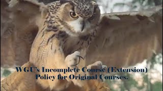 WGUs Incomplete Course Policy Extension for Original Courses [upl. by Ardnassak]