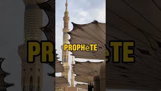 Invocations islamicshorts islamicvideo islam [upl. by Ailey]