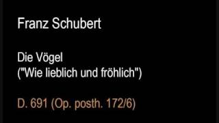 Schubert D691 Die Vögel Wie lieblich und fröhlichwmv [upl. by Greyso31]