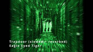 Trapdoor slowed  reverbed by Eagle Eyed Tiger [upl. by Pernick]