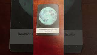 377 Capricorn  Moonology Oracle Message [upl. by Akiem]