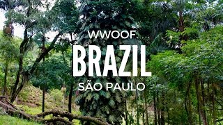 WWOOF Brazil  Farm Views [upl. by Hada]