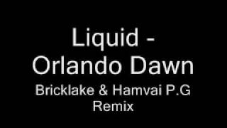 liquid  orlando dawn  bricklake amp hamvai pg remix  2009 [upl. by Julianne]