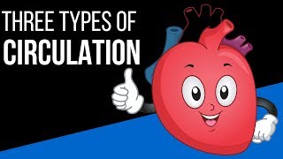 Three types of circulation in the body [upl. by Rimaj]