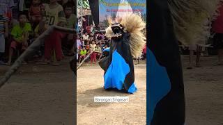 barongan singosari sambongsari shorts rafabudoyo [upl. by Rramed]