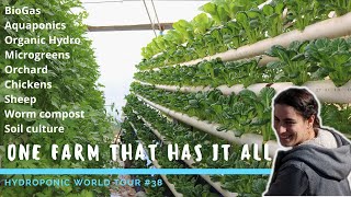 The smartest Hydroponic and Aquaponic Farm is in Israël  HWT 38 [upl. by Noseaj]