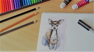 Aquarell  Kleines Reh [upl. by Coady]