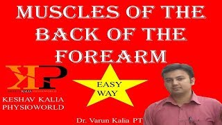 Muscles Of the Back Of the Forearm in Easy way By Dr Varun Kalia PT [upl. by Blainey989]