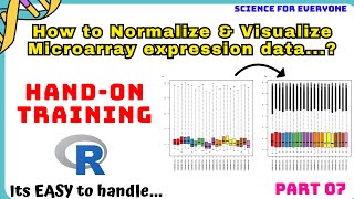 What is Normalization amp HOW it is Performed  HandOn Training  Theory  Practicle [upl. by Eelegna]