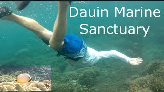 Dumaguete Vlog  Snorkeling At Dauin Marine Sanctuary [upl. by Alisan]