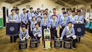 3rd Molesey Scout and Guide Band inspection 2013 [upl. by Serles859]