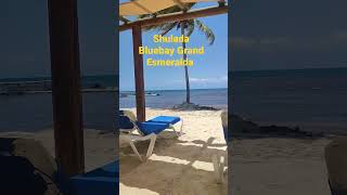 hotel Bluebay Grand Esmeralda en Riviera Maya [upl. by Center]