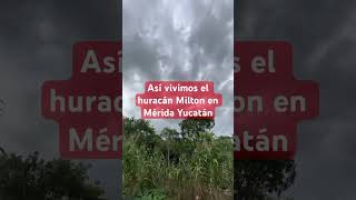 Huracán Milton en Mérida Yucatán naturaleza agua tormenta viralvideo huracanmilton milton [upl. by Ahtelahs]