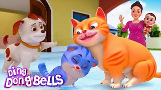 म्याऊं म्याऊं बिल्ली करती  Meow Meow Billi Karti v2  Hindi Rhymes for Children  Ding Dong Bells [upl. by Nakasuji207]