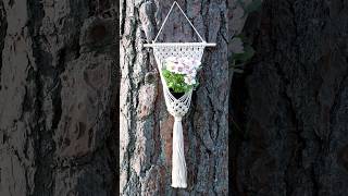 DIY Macrame Plant Hanger EASY Home Decor macrame [upl. by Barkley]