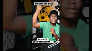 Psalm 23 Stonebwoy [upl. by Leerzej132]