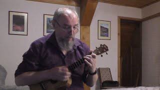 Fixing a Hole  The Beatles solo ukulele cover [upl. by Wandy469]