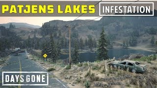 Patjens Lakes Infestation  Loction of All Freaker Nests  Days Gone [upl. by Trygve738]