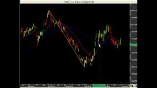 How to Identify Support and Resistance  Support and Resistance Trading Tutorial [upl. by Chandos493]