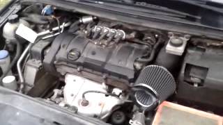 Peugeot 307 Sport air filter sound [upl. by Franciska]