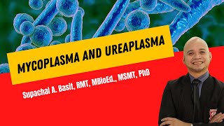 Mycoplasma and Ureaplasma [upl. by Crofton]