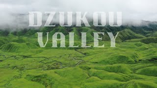 Dzukou Valley [upl. by Aznerol941]