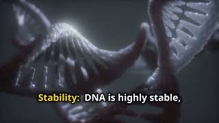 20 Differences Between DNA and RNA [upl. by Ardied]