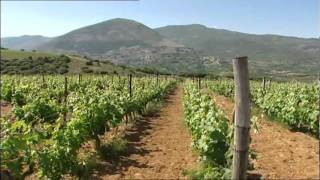 TSANTALI Enter the new era of Greek wine Part 12 English lang [upl. by Zaid844]