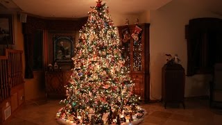 Building the Most Beautiful Christmas Tree Time Lapse [upl. by Aydidey]