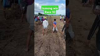 San Carlos aliaga karera ng kalabaw race 10 [upl. by Merce392]