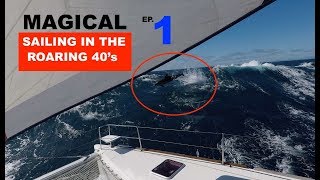 Ep1 Sailing For The Roaring 40s Tasmania [upl. by Etnoed]