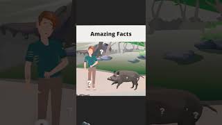 Animal Attack Riddles Only the SmartestCan Solve  shorts  FactBeastsubscribe to my channel👍😅 [upl. by Yhtommit]