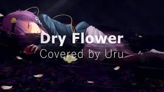 Dry Flower  Covered by Uru Lyrics KanjiRomajiIndonesia [upl. by Imeon]