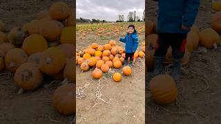 Pumpkin prank on Aathish👻🥰🤪shorts tiktok london uksaruaathish prank funnycomedycutebaby [upl. by Anerroc]