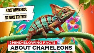 10 MindBlowing Facts About Chameleons naturefacts chameleons reptiles [upl. by Ahsiram332]