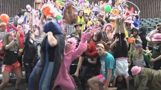 Harlem Shake ЛУЧШЕЕ 1 [upl. by Tjon]