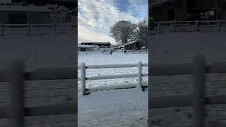 Ireland snow fall  Talented Huzaimviralshorts snowfall [upl. by Ahseenak146]