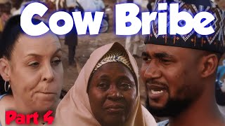 Kim Buys a COW to Bribe Usmans Mother Kim and Usman part 4  90 day fiance happily ever after [upl. by Ambur]